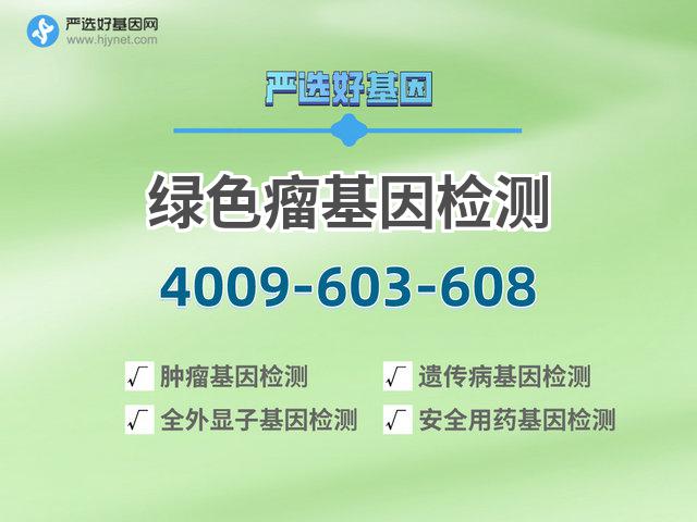 bitpie比特派钱包官方下载海北绿色瘤基因检测：肿瘤预防与治疗的新希望