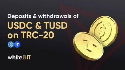 TRC20USDT 钱包使用与管理指南：全面解析与实用技巧