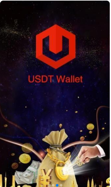 泰达币钱包中文版下载，usdt 钱包正版虚拟币专用版支付钱包