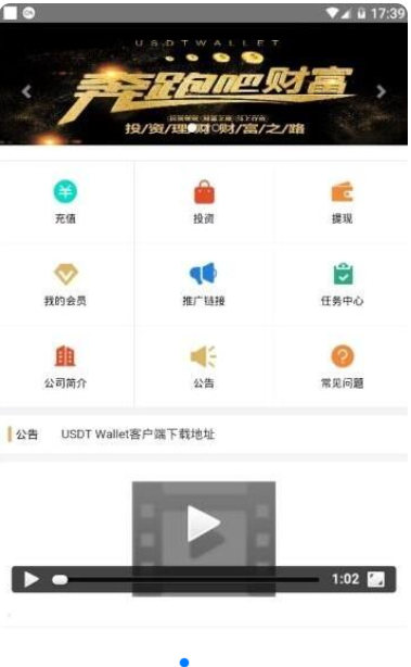 泰达币钱包中文版下载，usdt 钱包正版虚拟币专用版支付钱包