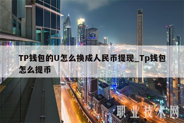 TP 钱包的 U 如何换成人民币提现？TP 钱包提币教程分享