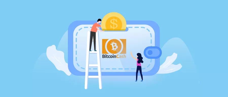 2019 年最佳 BCH 钱包指南：如何根据需求挑选比特币现金钱包