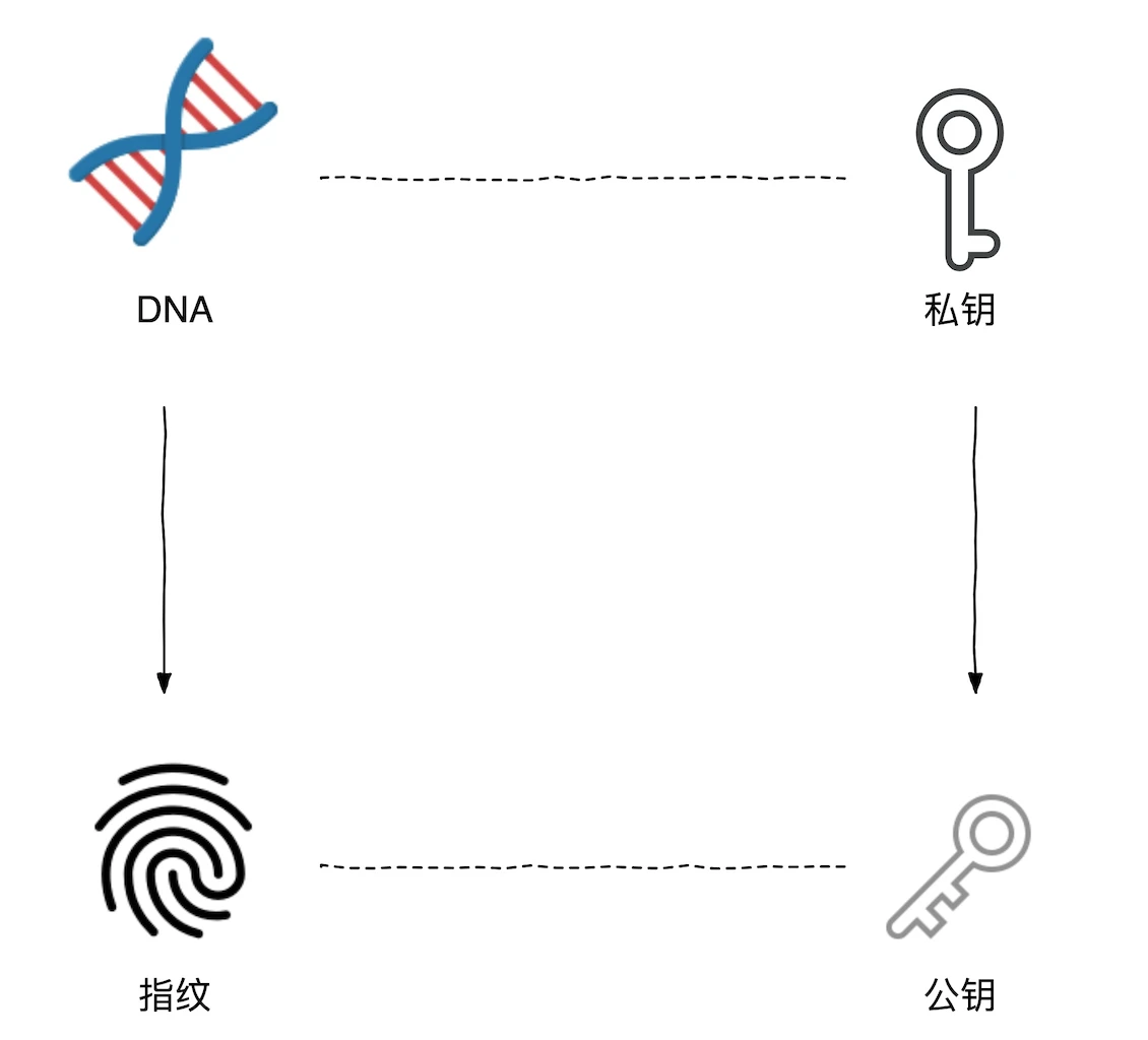 漫话比特币（二）：非对称加密的深度解析与应用