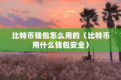 比特币电子钱包：安全存储与便捷交易的必备工具