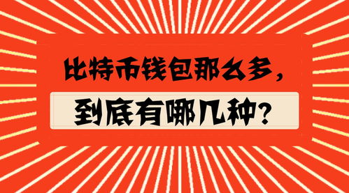 了解常见比特币钱包及其分类，开启数字货币之旅