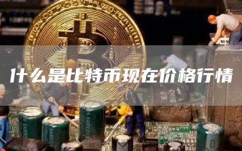 了解比特币：探究其现在的价格行情