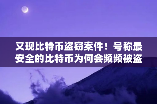 推荐有后门的钱包软件，男子盗窃近 200 比特币被判 5 年