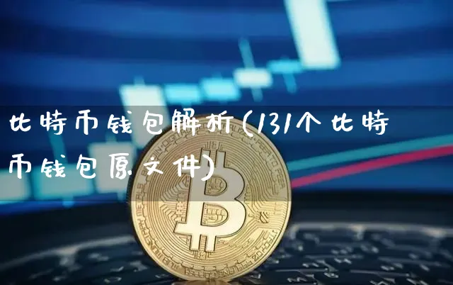 比特币钱包解析：131 个比特币钱包原文件的深度剖析